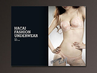 韩彩内衣产品手册