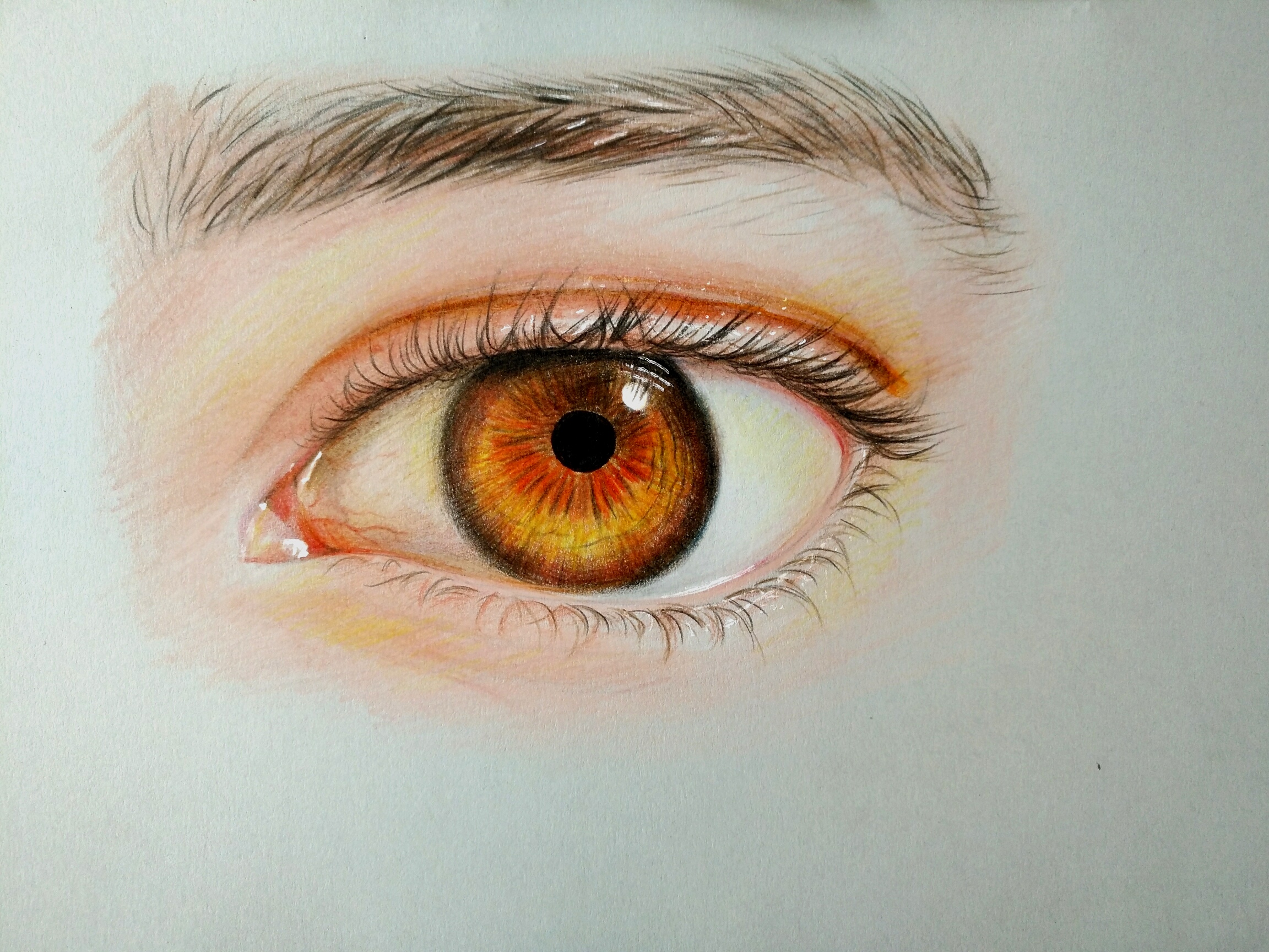 彩铅眼睛_素材网站_图片免费下载-zcool站酷