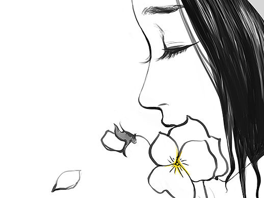 三色堇