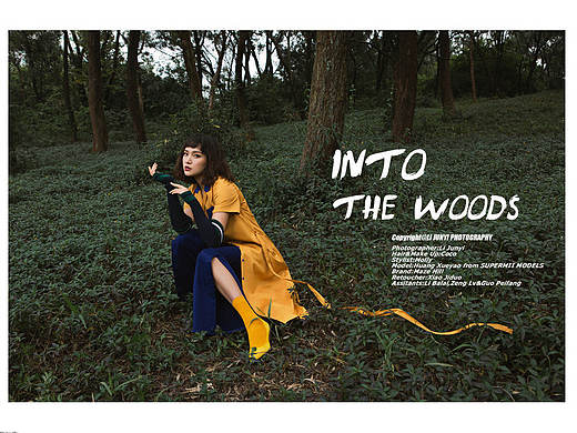 MAZZ HILL/Into the Woods