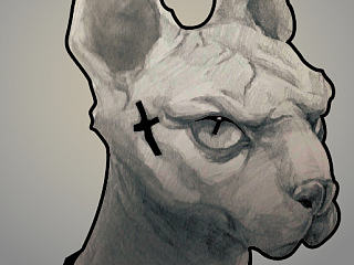 黑帮大佬无毛猫