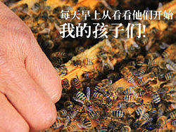 大地甘甜，用心传递