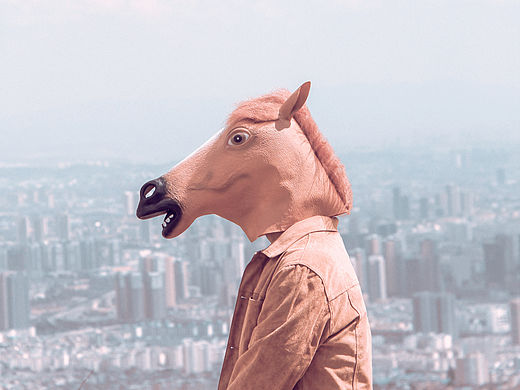 野里 | 姓张的马先生