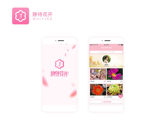 静待花开APP