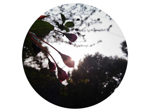 春