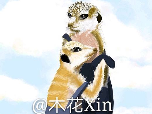 穿工人裤的狐獴