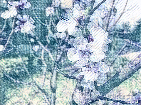 虚（个人主页-ZMzkyMzM5MTI=） - 修图/后期 - 站酷设计师woshi八百里原创素材 - 站酷ZCOOL