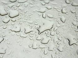 雨珠