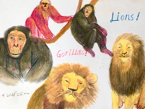 色粉动物速写练习~