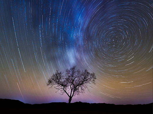 白桦眼中的星空