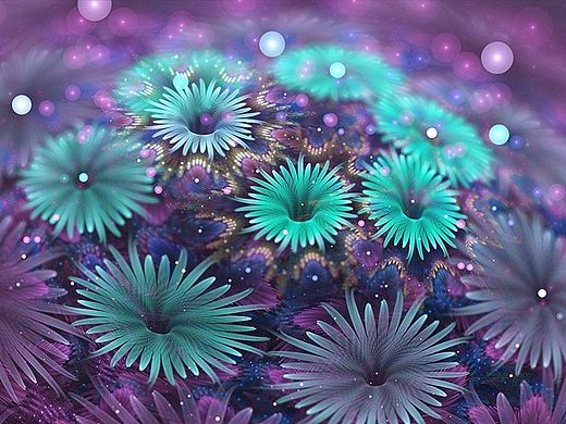 分形(Fractal)第二十三辑：密集花朵以及几何形尝试