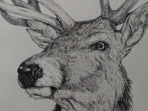 你不想我,我却想回头看你