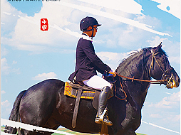 馬術(shù)酒店宣冊