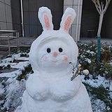 一颗真心桃的头像