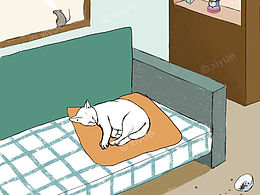插画：有猫的房间