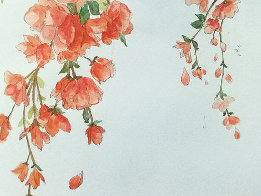 玉兰花 水彩