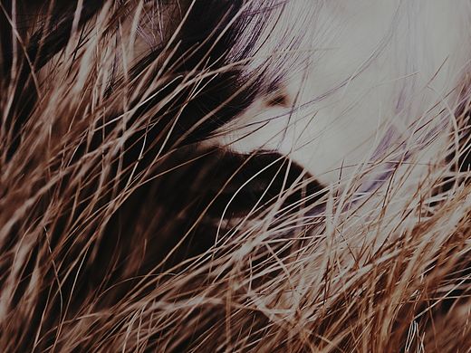 【黑松恋歌】（个人主页-ZMTQ2NDkxNjQ=） - 人像摄影 - 站酷设计师Tony恶魔的艺术馆原创素材 - 站酷ZCOOL