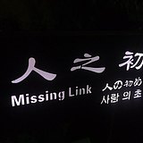 呆小尫的头像