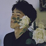 木鱼1的头像