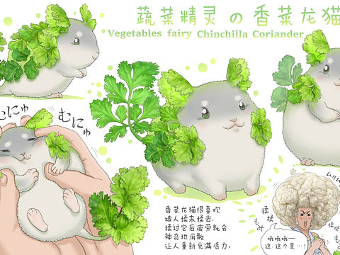 【蔬菜精灵】香菜龙猫🐹🥬