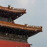 七月前夕的头像
