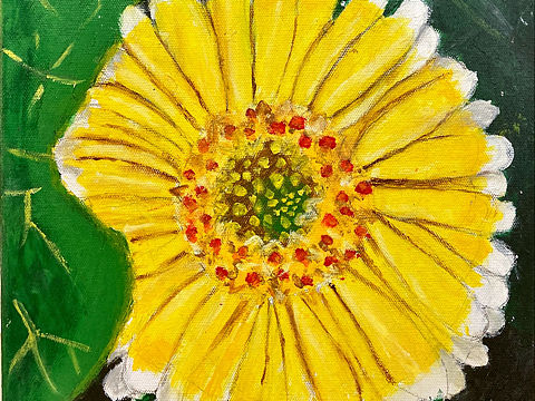 花花近寫🌼🌼
