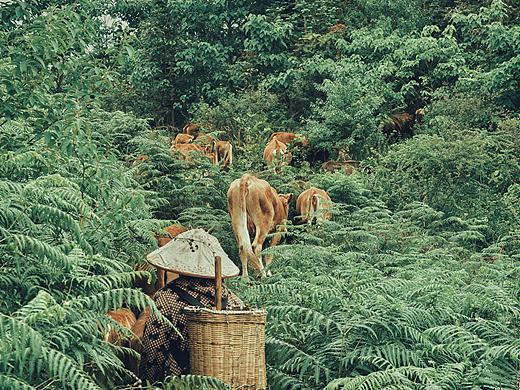 贵州安顺之旅（个人主页-ZNDUxNzcyNzI=） - 人文/纪实摄影 - 站酷设计师一刚一刚原创素材 - 站酷ZCOOL