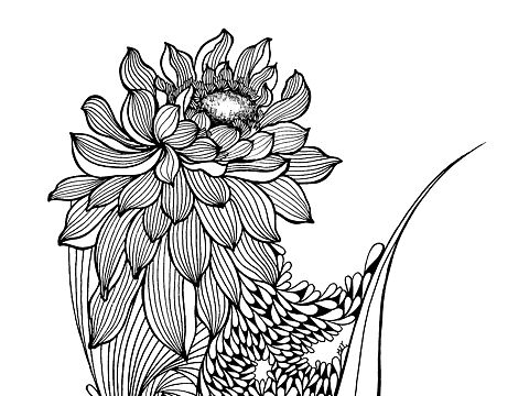 简笔画手绘线描插画