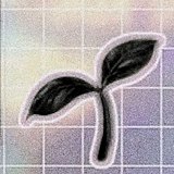 小草右的头像
