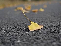 星期六（個人主頁-ZMjgyODEwMA==） - 風(fēng)光攝影 - 站酷設(shè)計師麥笨笨原創(chuàng)素材 - 站酷ZCOOL