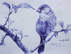 圆珠笔系列之小鸟