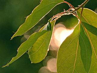 隨拍 第一季（個(gè)人主頁(yè)-ZMzYwMjg5Ng==） - 人文/紀(jì)實(shí)攝影 - 站酷設(shè)計(jì)師sixsunempire原創(chuàng)素材 - 站酷ZCOOL