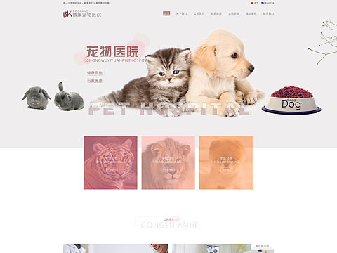 「博康宠物医院」网站设计