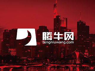 互联网金融平台“腾牛网”logo设计（飞机稿）