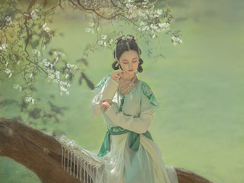 ‖一树满庭芳‖ 