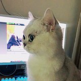 L_春雪的头像