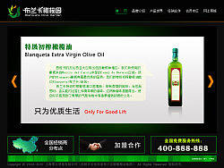 橄榄油网站（个人主页-ZMzMwNTA0） - 图标 - 站酷设计师INK_er原创素材 - 站酷ZCOOL