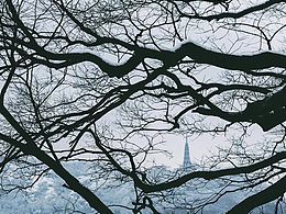 西湖 雪