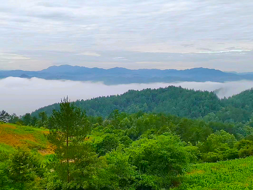 山中（个人主页-ZNjQ1NzM4Mjg=） - 修图/后期 - 站酷设计师鸣籁原创素材 - 站酷ZCOOL