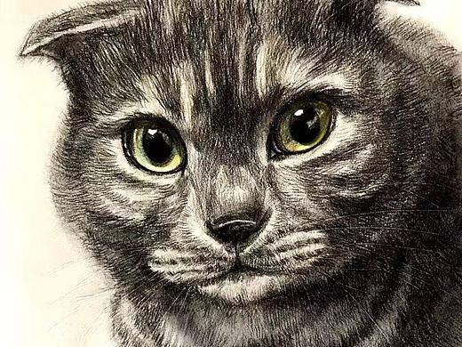 手绘小猫咪