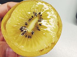 在我眼里，食物很温暖