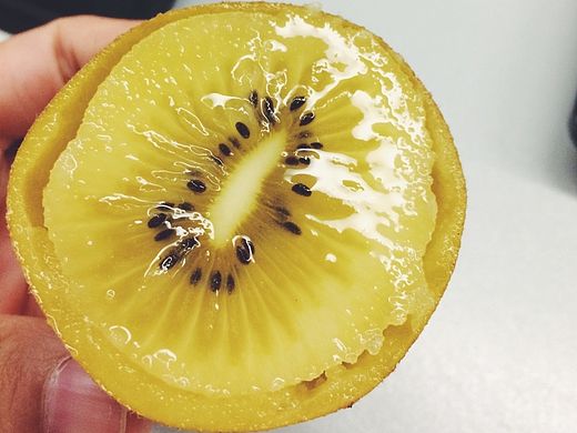 在我眼里，食物很温暖