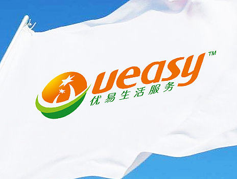 ueasy丨海南地方网丨logo设计 