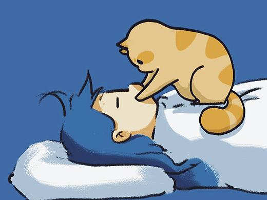 橘猫鱼丸