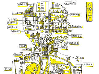 《人体工厂》