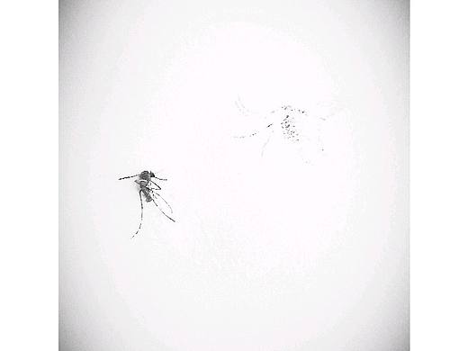 随拍