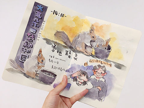 2019 手帐日常