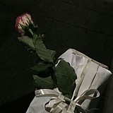 画画的panxi的头像