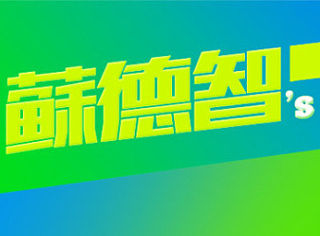 苏德智作品-字体设计-企业标准字-大连创意LOGO设计 