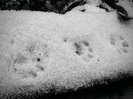 生活不是我们度过的日子，而是我们记录的日子